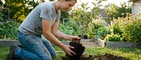 Middle-aged Caucasian man in casual attire planting seedling in garden soil, demonstrating sustainable gardening and outdoor cultivation techniques.