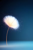 Glowing dandelion seed head with magical sparkles dispersing against deep blue background, soft illumination creates ethereal atmosphere for wellness and spirituality designs.