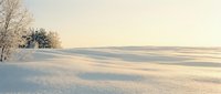 Serene winter landscape with pristine snow-covered field and frosted trees under soft golden light creating peaceful countryside scenery for seasonal content.