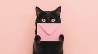 Adorable black cat holding pink envelope against pastel background, perfect for greeting cards, love messages, and pet-themed designs.
