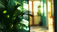 Sunlit interior with tropical palm leaves casting dramatic shadows on wall, creating peaceful zen atmosphere with soft bokeh light effects and blurred doorway.