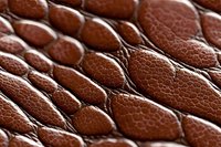 Brown leather texture with natural reptilian pattern showing detailed scales and segments in macro photography, suitable for luxury design projects.