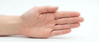 Open palm hand gesture showing empty cupped hand on white background isolated for presentation, offering, receiving or holding concept.