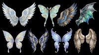 Watercolor wings collection featuring angel, fairy, butterfly, demon, and dragon wing designs isolated on transparent background. Ready for t-shirt designs, clipart, stickers, sublimation, and print-on-demand projects.
