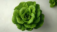 Fresh green lettuce head viewed from above on light background, organic produce with detailed leaf texture and natural pattern for healthy eating and food blogs.