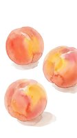 Watercolor peaches with soft coral and yellow tones on white background, fresh summer fruit illustration for kitchen decor and culinary designs.