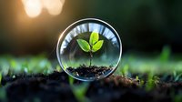 Young green plant seedling growing in glass sphere on soil with bokeh background, environmental conservation concept and sustainable development symbol.