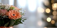 Peach gerbera daisy and baby's breath bouquet against soft bokeh lights background, creating romantic atmosphere for wedding and celebration designs.