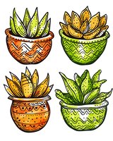 Colorful succulent plants in decorative ceramic pots with ethnic patterns. Orange and green pottery planters with zigzag ornaments. Isolated elements for stationery design.