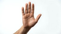 Male hand raised up showing open palm in stop gesture against white background for communication and body language concepts.