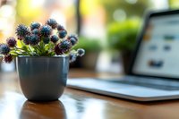 Purple thistle flowers in modern black vase on wooden desk beside laptop computer creating cozy home office workspace atmosphere for productivity and inspiration.