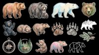 Grizzly bear, black bear, polar bear, and brown bear head isolated on transparent background, ready for t-shirt design, clipart, stickers, sublimation, and print-on-demand products.