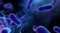 Glowing purple bacteria cells floating in dark microscopic space with bokeh effect and blurred background, scientific medical visualization concept.