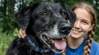 Young blonde girl with braids embracing happy black senior dog with gray muzzle outdoors in natural green forest setting for pet care and friendship concepts.