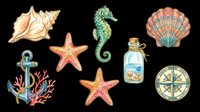 Nautical sea life collection with conch shell, starfish, seahorse, scallop shell, anchor with coral, message bottle, and compass rose isolated on transparent background. Ready for t-shirt design, clipart, stickers, sublimation, and print-on-demand products.