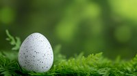 Speckled white egg nestled in fresh green ferns against natural bokeh background, creating serene spring atmosphere for nature and Easter designs.