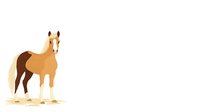 Elegant palomino horse with white blaze and socks standing on light background, stylized minimalist illustration for equestrian content.
