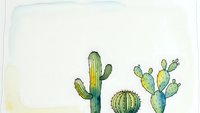 Watercolor cactus collection with saguaro, barrel and prickly pear cacti on textured paper background for botanical art, desert decor and southwestern design.