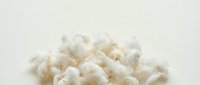 Fresh white popcorn kernels scattered on clean background, perfect snack food for movie nights, entertainment and healthy eating concepts.
