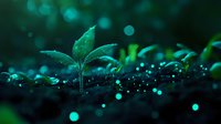 Young green sprout growing from soil with magical bokeh lights in dark background, nature awakening concept for environmental projects.