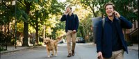 Two men jogging with a golden retriever dog on a tree-lined park path during golden hour, suitable for fitness, pet care, and lifestyle content.