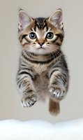 Adorable tabby kitten with blue eyes jumping playfully, striped fur pattern, domestic cat breed for pet adoption campaigns and animal welfare content.