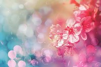 Dreamy pink cherry blossoms with soft bokeh background in pastel colors creating romantic spring atmosphere for greeting cards and floral designs.