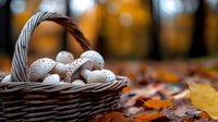Fresh white eggs with delicate lace pattern in rustic woven basket against blurred autumn background with golden bokeh and fallen maple leaves.
