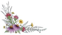 Delicate wildflower corner arrangement with purple echinacea, red clover, yellow blooms and silver fern leaves on white background for botanical design.