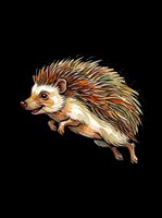 Adorable hedgehog illustration isolated on transparent background, ready for t-shirts, stickers, clipart, print-on-demand products, and sublimation designs.