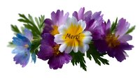 Vibrant floral arrangement featuring white daisy with yellow center and French word Merci, surrounded by purple and blue flowers with green foliage on white background.