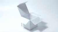 Open white cardboard box with lid on clean background for packaging mockup and product presentation designs.