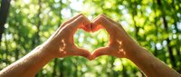 Hands forming a heart shape against a sunlit green forest background, symbolizing love, nature, and environmental care.
