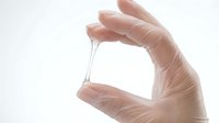 Young adult female hand wearing clear medical gloves holding empty glass vial or test tube against white background for healthcare, laboratory, medical research, pharmaceutical, or scientific applications.