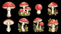 Red mushrooms with white spots isolated on transparent background, ready for t-shirt design, clipart, stickers, sublimation, print-on-demand products and digital crafts.