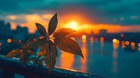 Silhouette of tropical leaves against dramatic orange sunset sky with bokeh city lights reflecting on water surface, moody evening atmosphere.