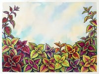 Colorful foliage border with vibrant burgundy, yellow, and green leaves arranged along bottom and sides, watercolor sky background. Suitable for greeting cards, invitations, and decorative design projects.