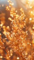 Delicate wildflower silhouette with morning dew drops against golden sunrise bokeh background creates dreamy natural atmosphere for romantic and seasonal designs.