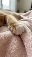 Fluffy ginger cat paw resting on soft pink blanket in bright bedroom with natural window light, perfect for pet and lifestyle content.