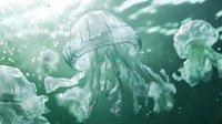 Ethereal jellyfish floating in turquoise ocean waters with glowing particles and dreamy bokeh effect, creating mysterious underwater atmosphere. Artistic marine life photography.
