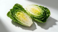 Fresh savoy cabbage halves showing detailed inner leaves and texture on white background for healthy cooking and nutrition concepts.