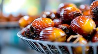 Fresh roasted chestnuts in metal basket with warm golden glow and bokeh background, seasonal autumn food close-up showing detailed texture and shine.