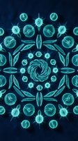 Microscopic diatoms arranged in symmetrical mandala pattern on dark blue background for scientific and educational content.