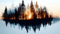 Misty lake at sunrise with silhouetted pine forest reflecting in calm water creating mirror effect. Peaceful morning landscape with golden sunlight filtering through trees.