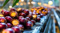 Fresh ripe cherries with bright yellow centers arranged on piano keys create magical bokeh effect in background, artistic food and music composition.