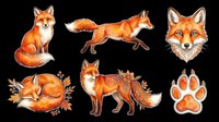 Watercolor fox collection featuring sitting, jumping, and running poses with head portraits and paw print. Isolated on transparent background, ready for t-shirts, clipart, stickers, sublimation, and print-on-demand designs.