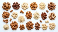 Assorted nuts and seeds including almonds, cashews, peanuts, and mixed varieties arranged on white background, ready for food, nutrition, and culinary design projects.