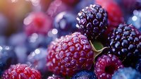 Fresh ripe raspberries and blackberries macro shot with water drops and bokeh effect in background, showing juicy texture and natural organic produce.