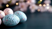 Speckled Easter eggs in pastel blue and pink with dark spots on dark background with soft bokeh lights and spring blossoms, festive spring holiday decoration.