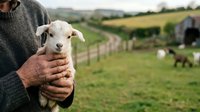 Farmer holding young white goat on rural farm with green pasture, fencing, and livestock in background. Agricultural lifestyle and animal husbandry concept.